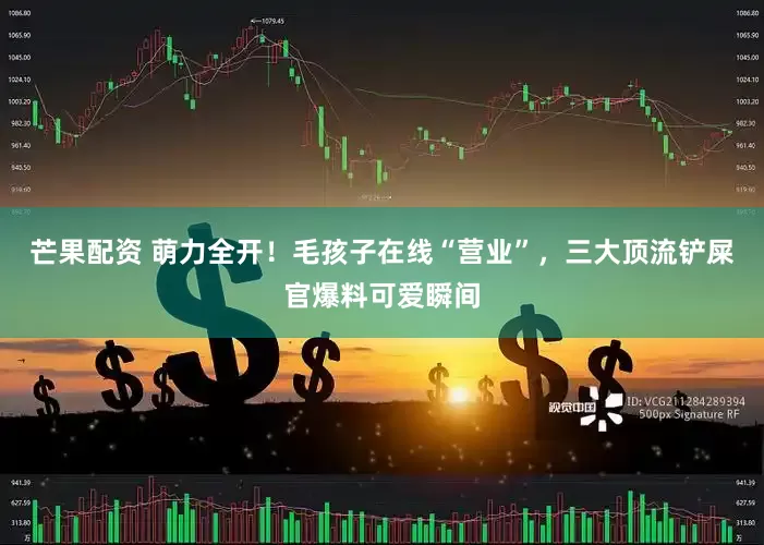 芒果配资 萌力全开！毛孩子在线“营业”，三大顶流铲屎官爆料可爱瞬间