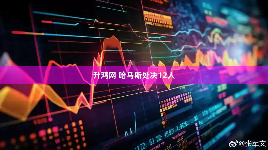升鸿网 哈马斯处决12人